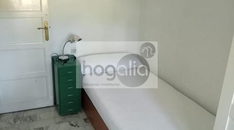 Photo 3 of Room in Sector Sur - La Palmera - Reina Mercedes, Sevilla Capital