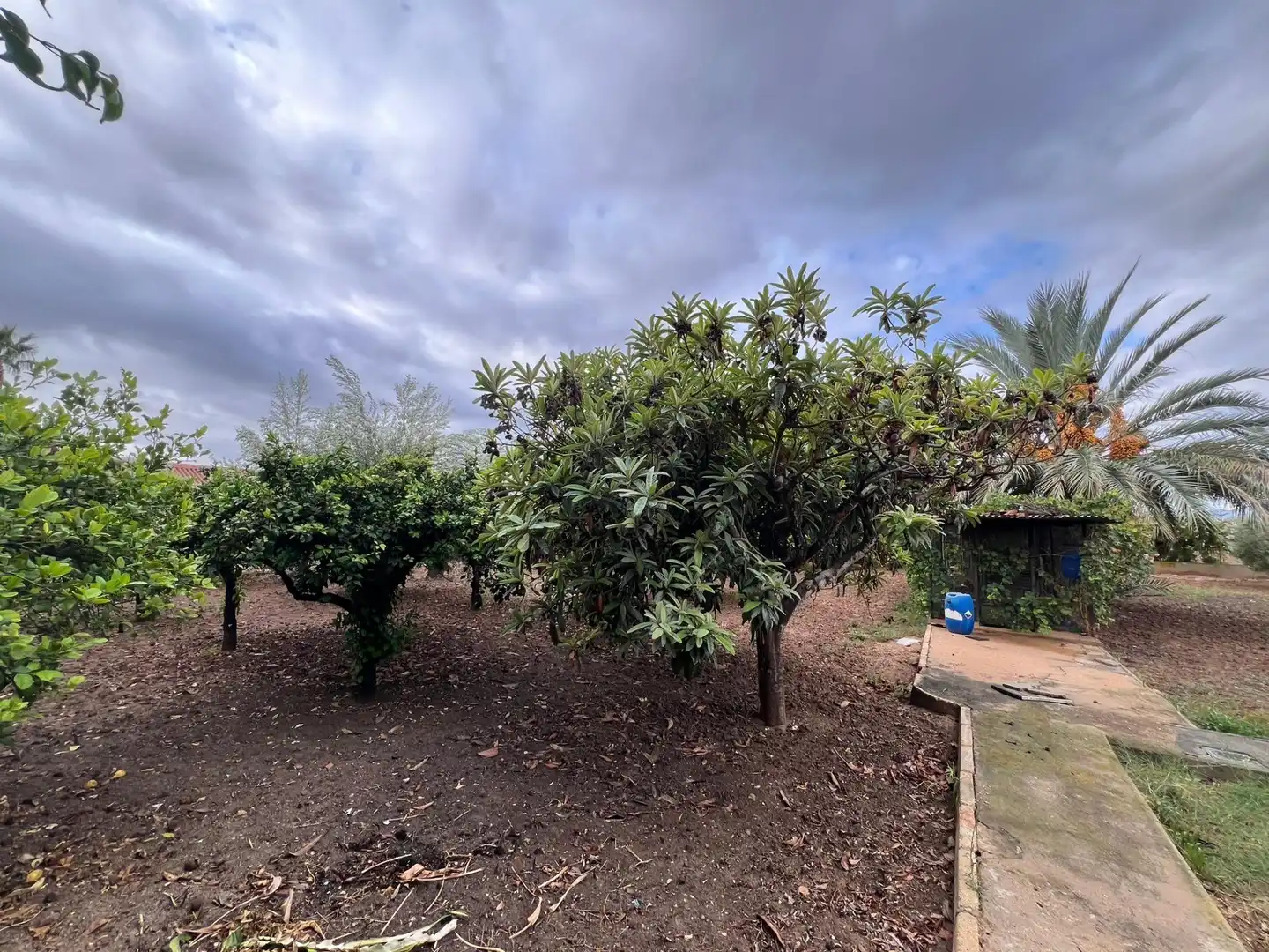 Casa o xalet en venda en Elche / Elx amb Jardí privat, Terrassa i Piscina