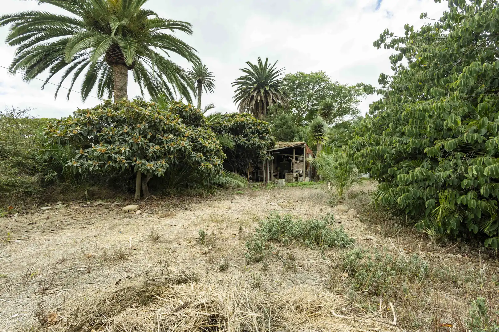 Houses for sale in San Cristóbal de la Laguna  with Private garden