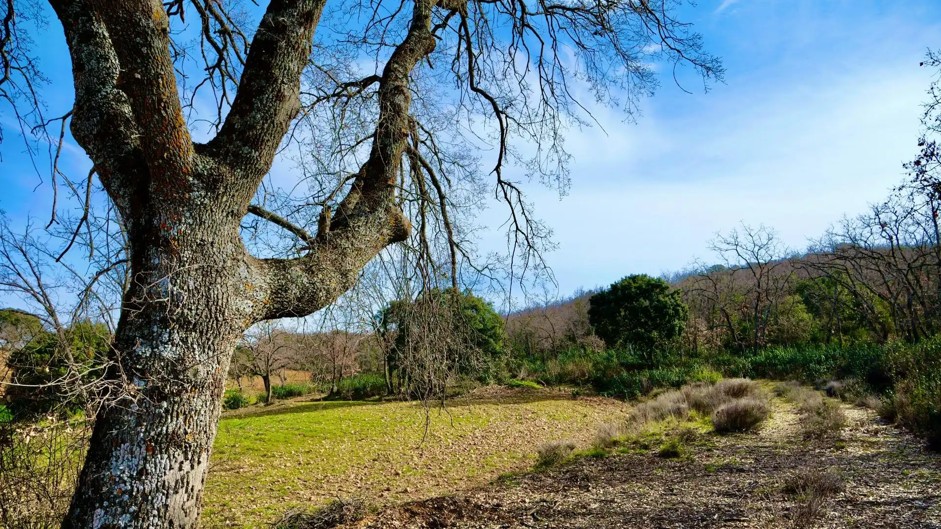 Land for sale in Arbancón
