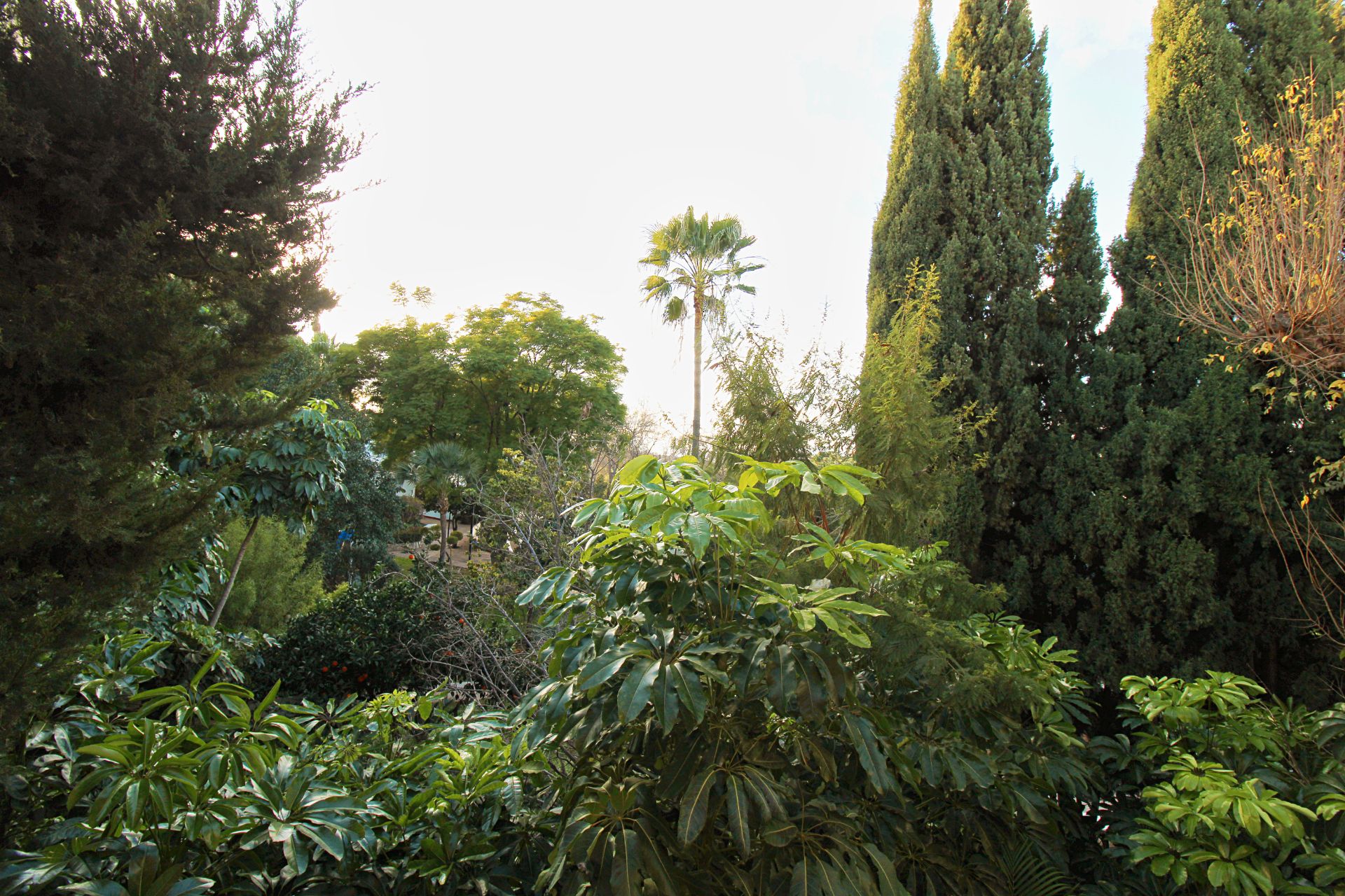 Flat for sale in Centro