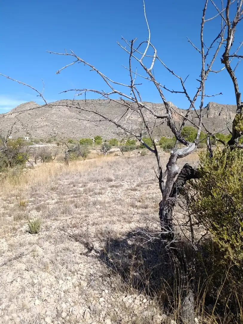 Terreno rustico in vendita a Hondón de las Nieves / El Fondó de les Neus, imagen 33