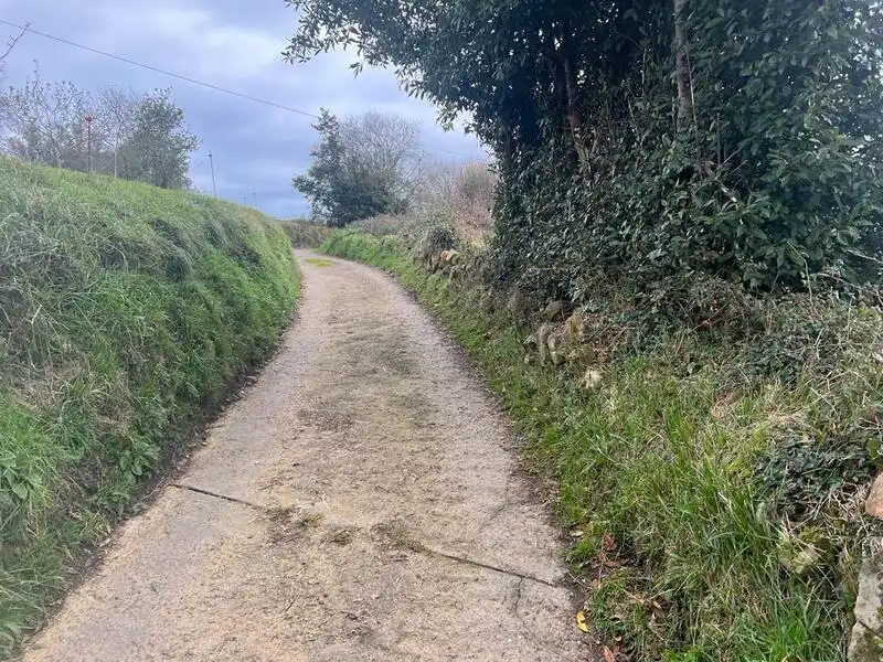 Terreno rustico in vendita a Selorio - Tornón, imagen 8
