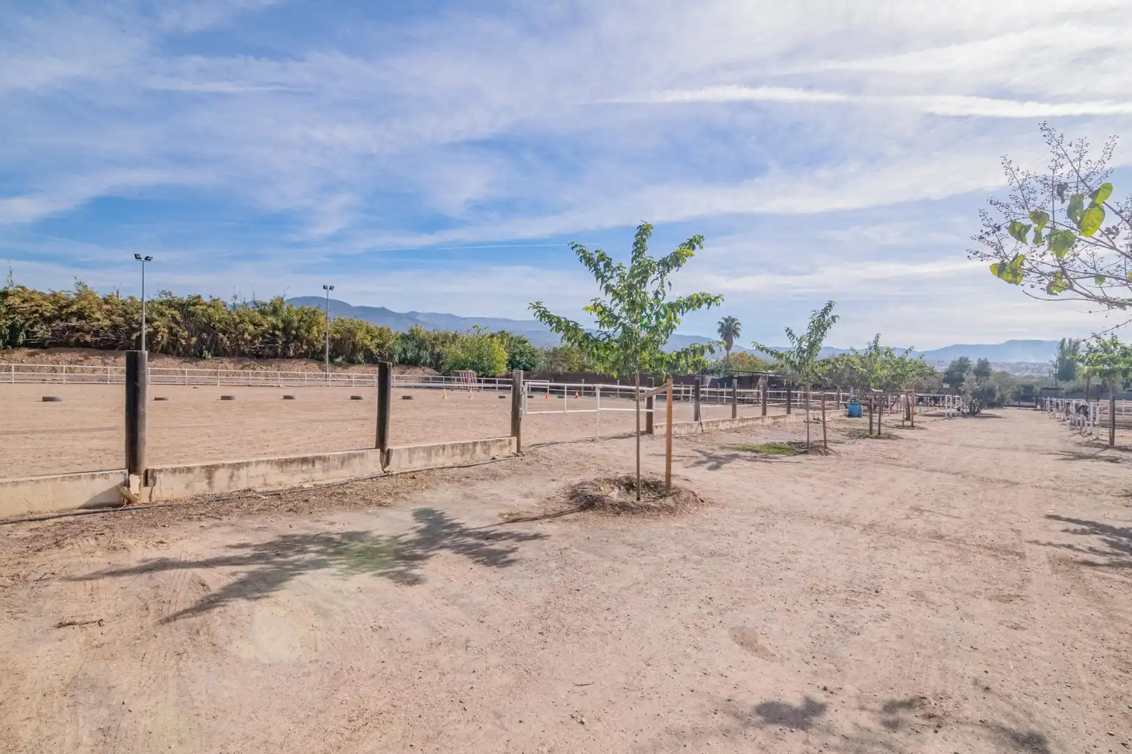 Vista exterior de Finca rústica en venta en La Zubia