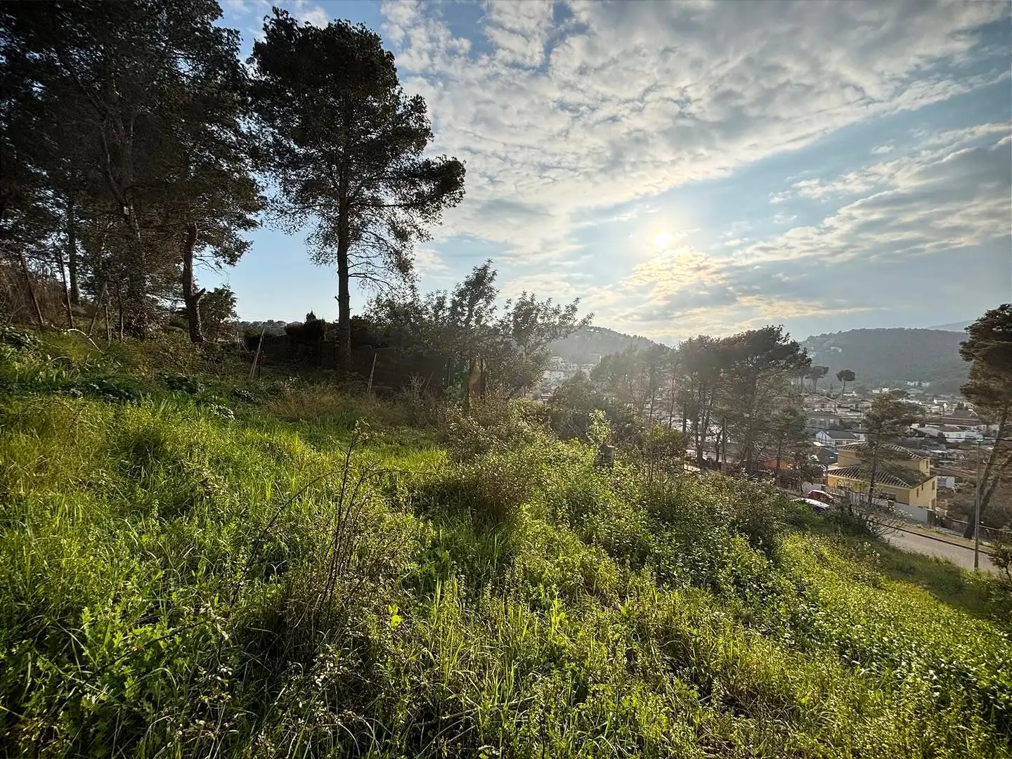 Terreno residencial en venta en Canyelles, imagen 16
