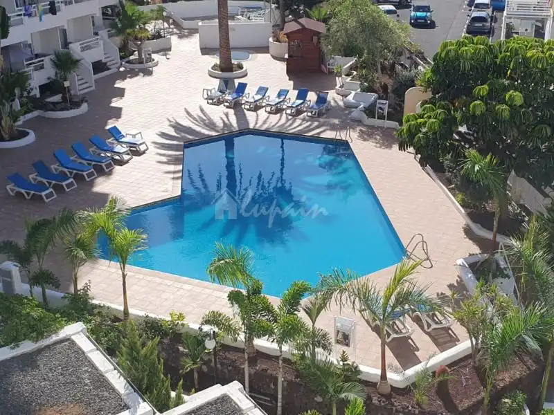 Estudio en venta en Playa de las Américas