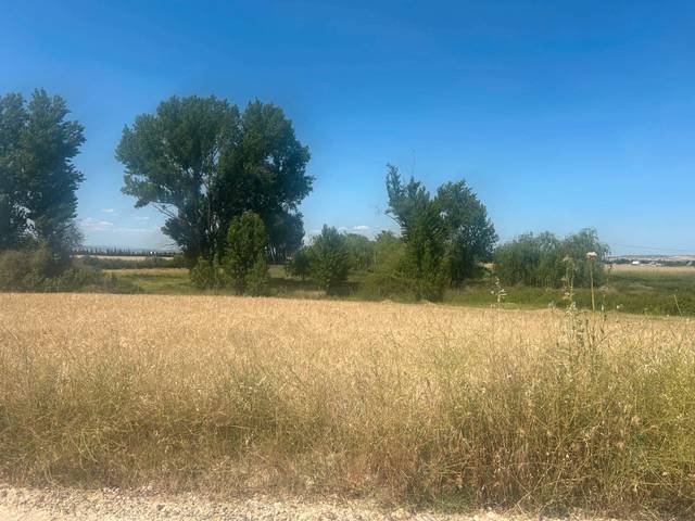 Terreno en Venta en Calle Cuatro Calles en Fuente El Saz de Jarama