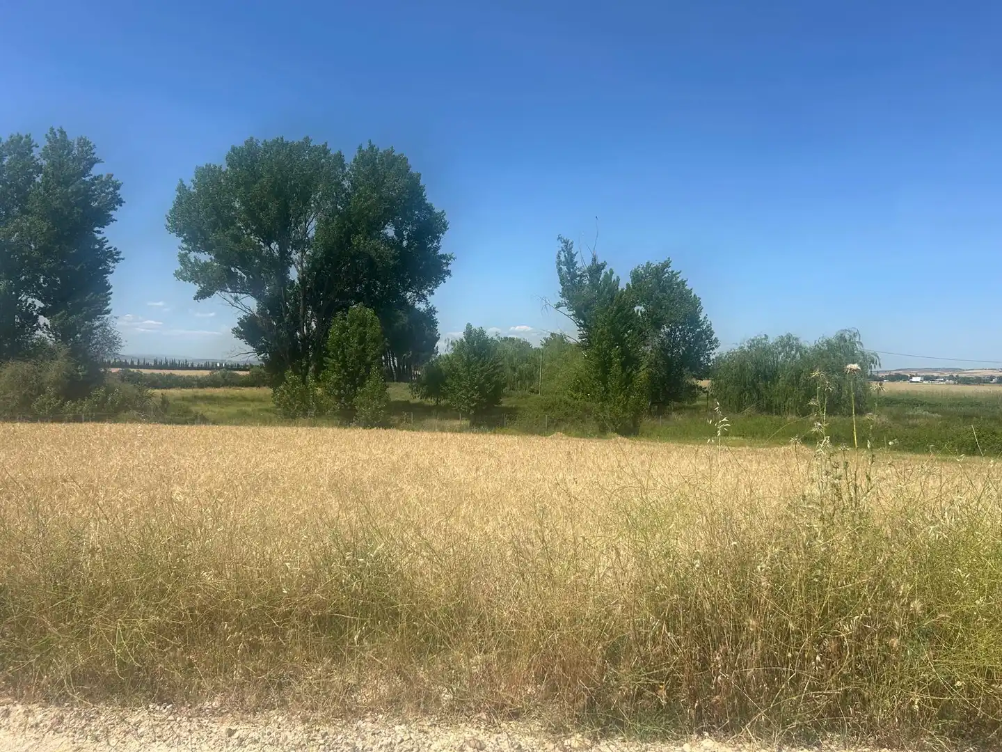 Land for sale in Fuente El Saz de Jarama