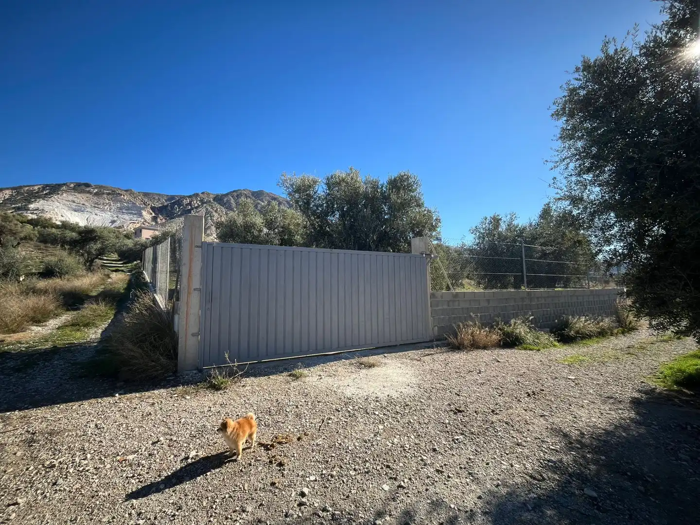 Rural land for sale in Calle Jose Saramago, imagen 7