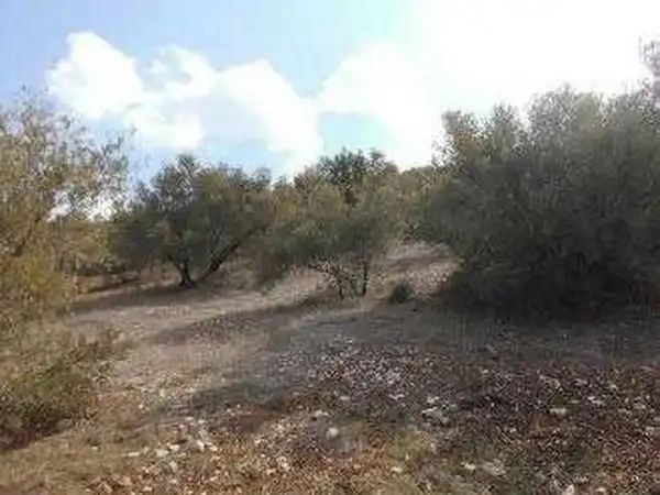 Terreni e lotti in vendita a Alcaudete, imagen 10
