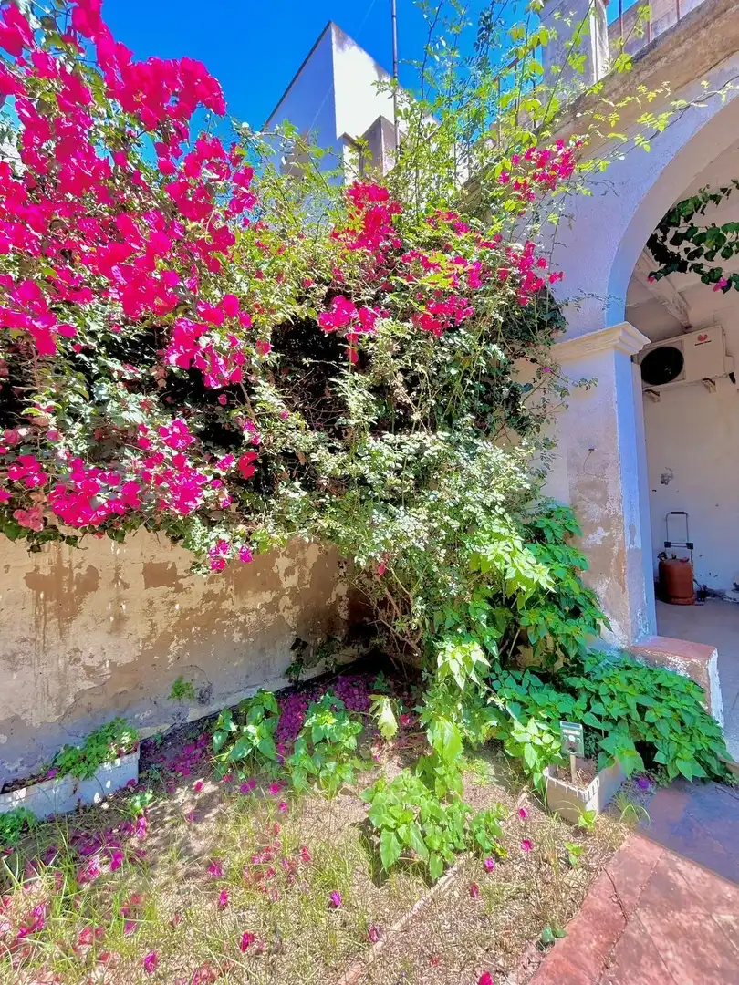 Jardí de Casa adosada en venda en Palamós amb Aire condicionat, Calefacció i Jardí privat