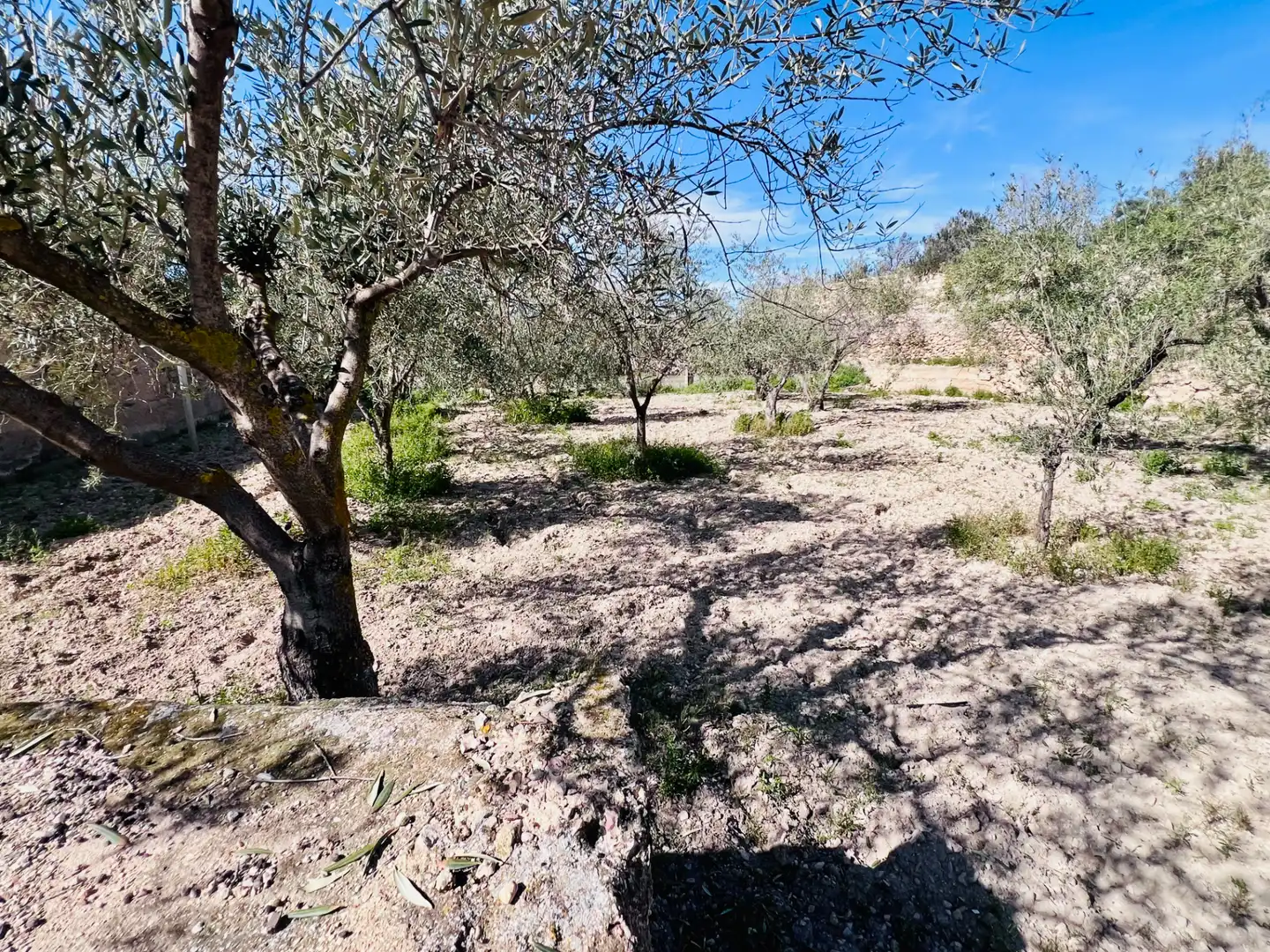 Casa o xalet en venda en Petrer amb Aire condicionat, Jardí privat i Terrassa