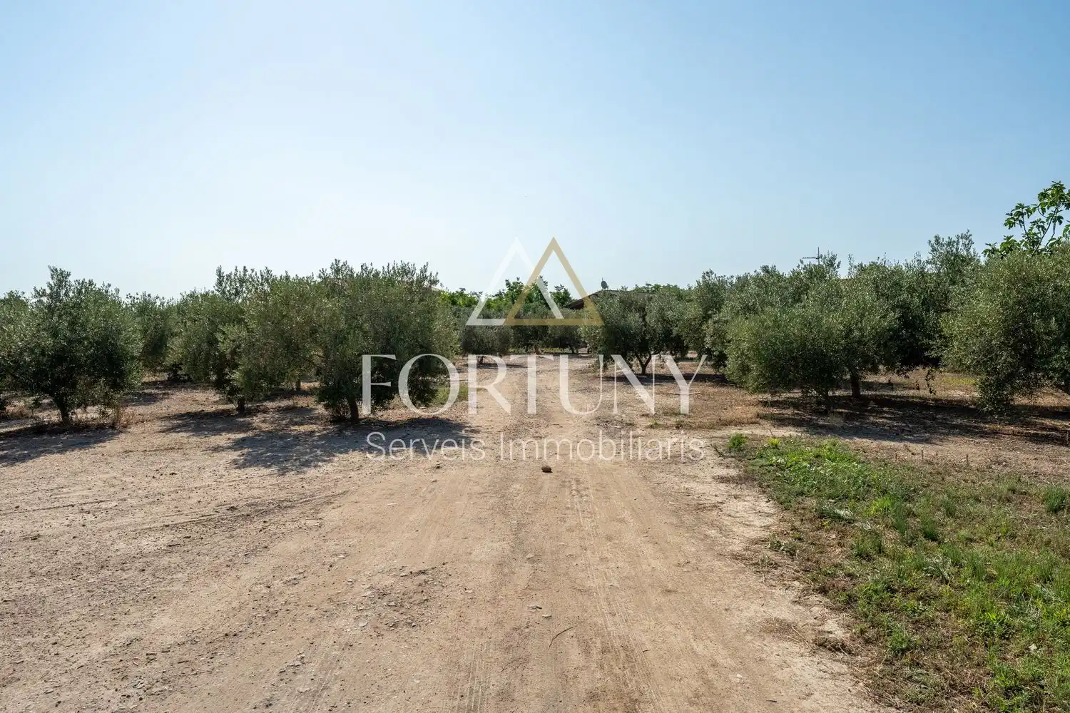 House with pool for sale in Riudoms, imagen 58