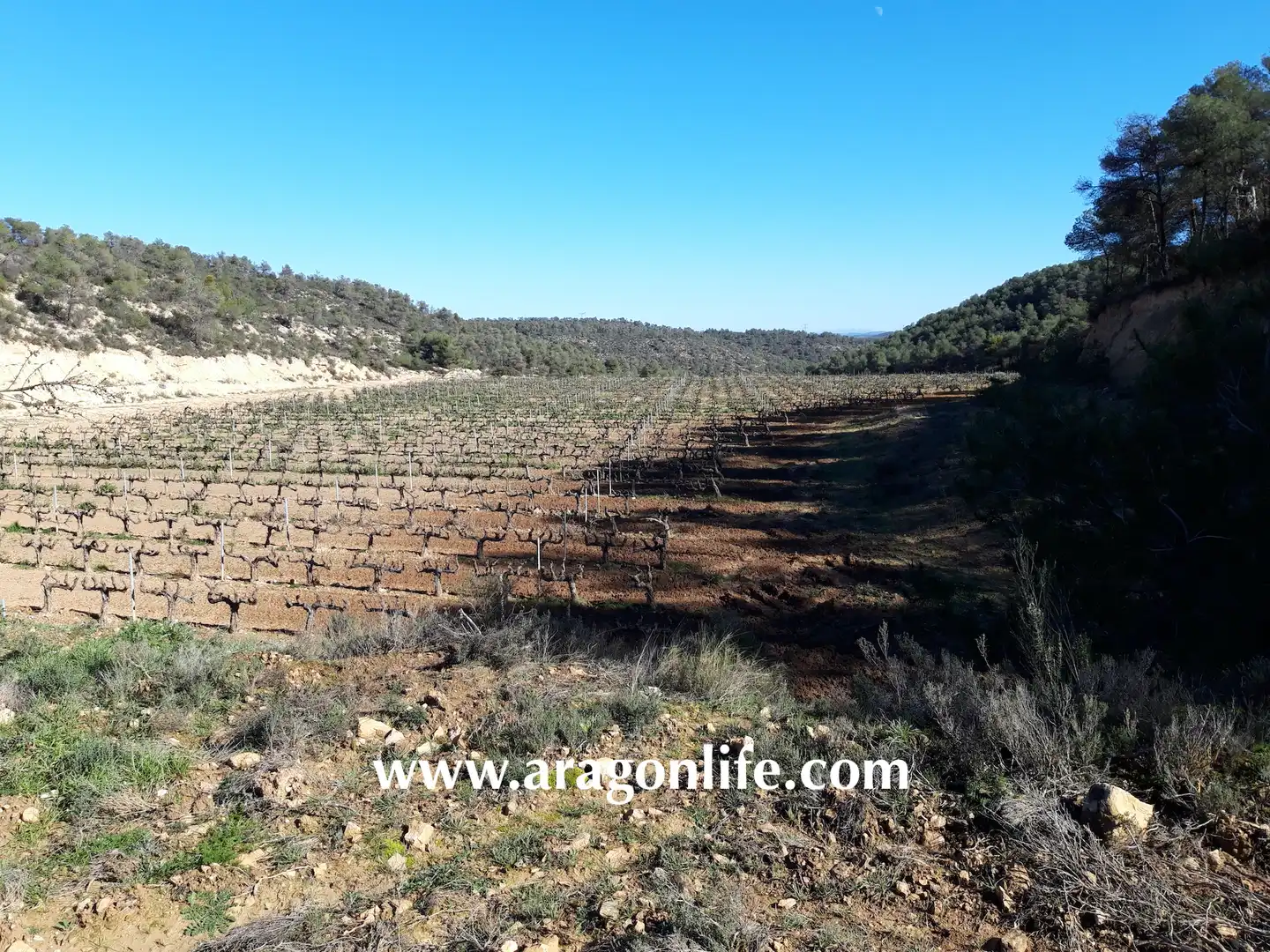 Finca rústica en venta en Nonaspe