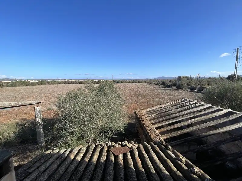 Finca rústica en venta en Campos con Trastero
