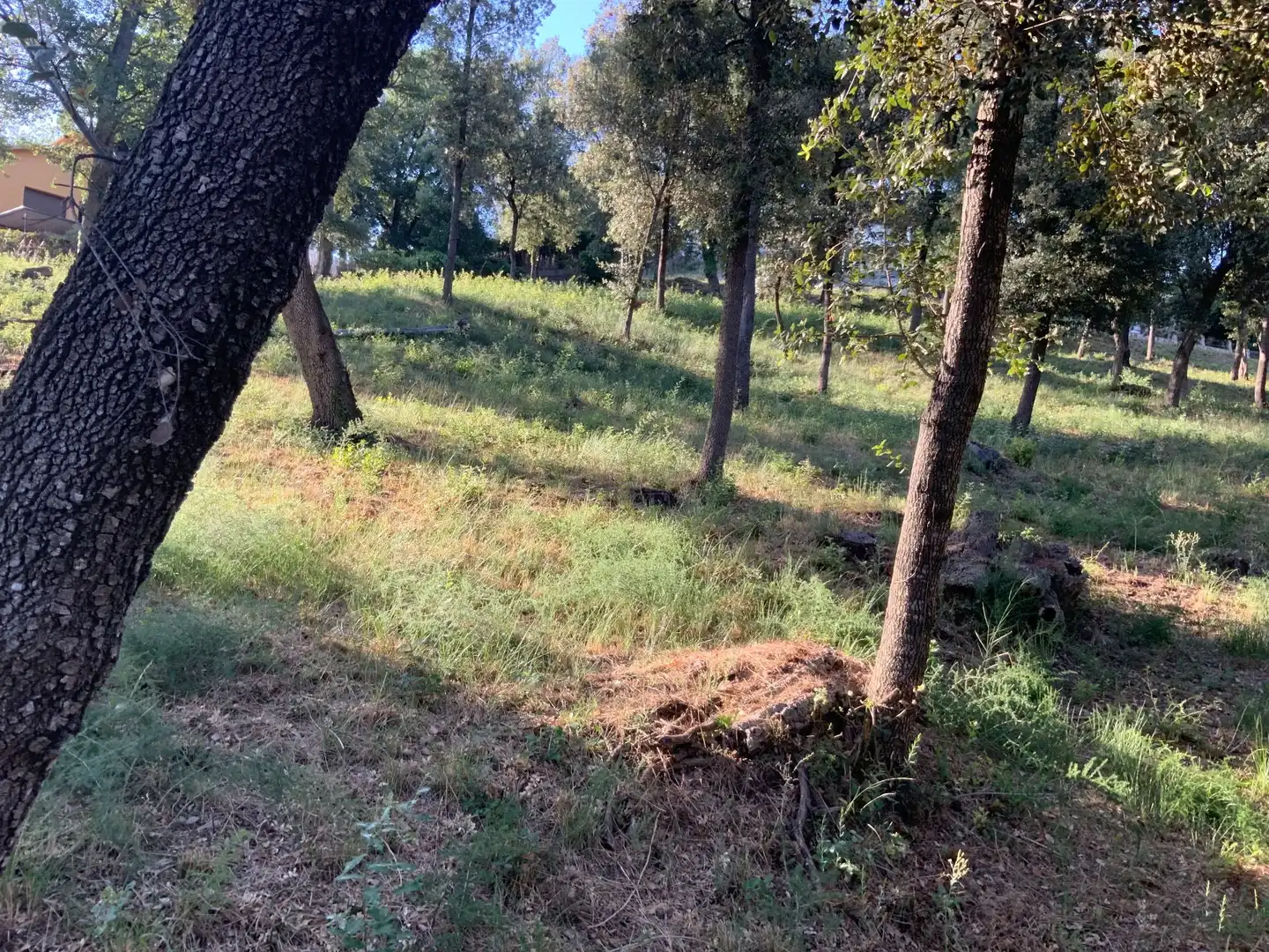 Residencial en venta en Santa Maria de Palautordera