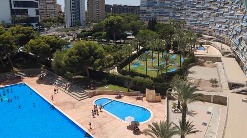 Photo 3 of Study for sale in Avenida Benidorm, 18, Playa de San Juan, Alicante / Alacant