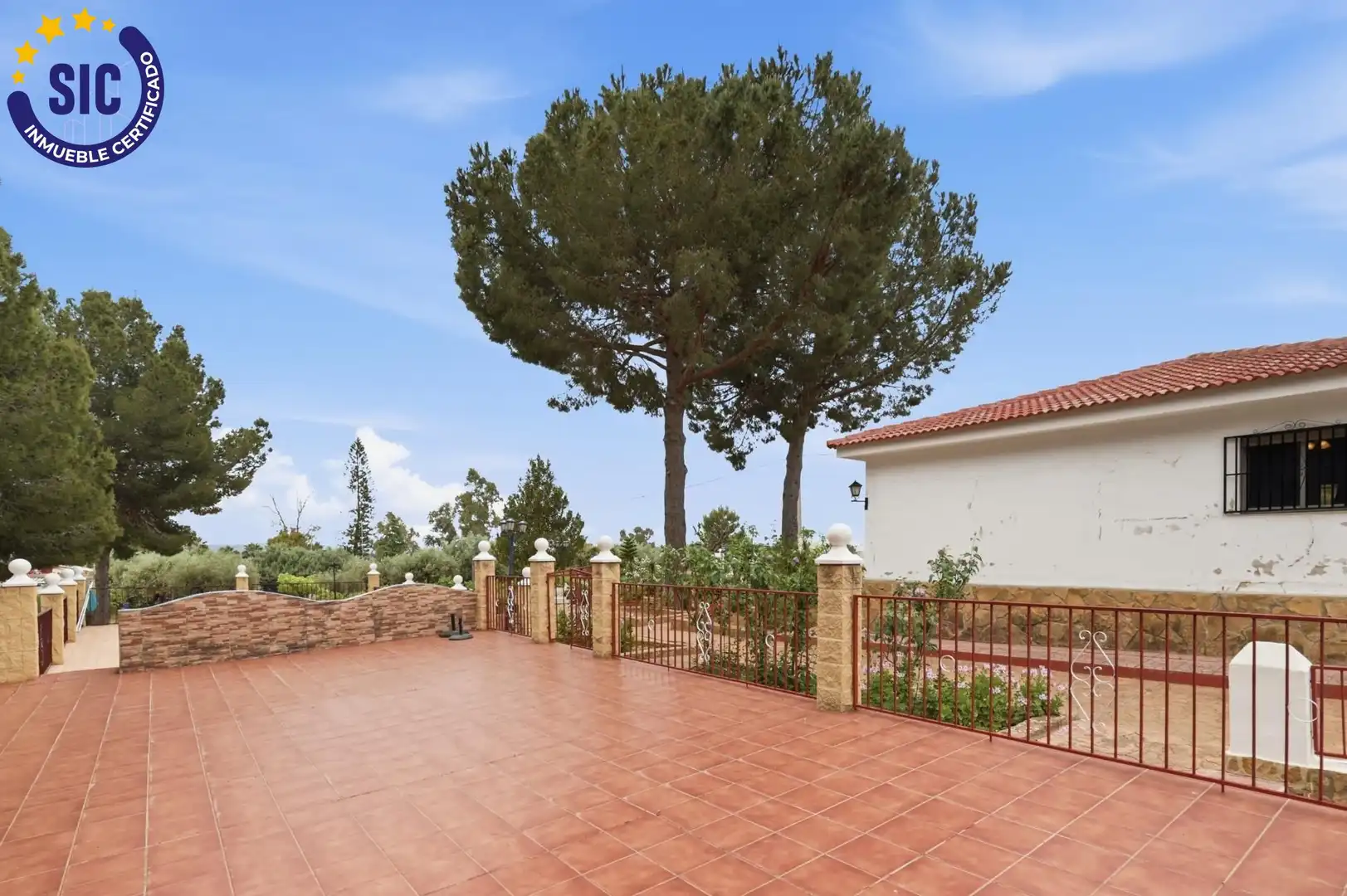 Terraza de Casa o chalet en venta en Montroi / Montroy con Jardín privado, Terraza y Piscina