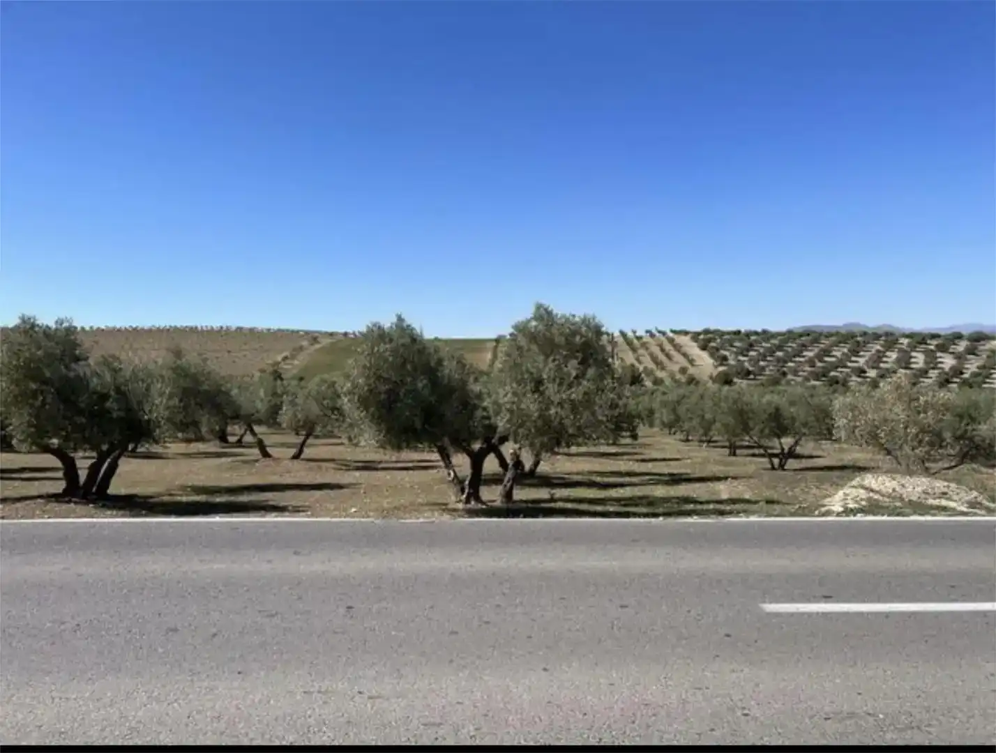 Finca rústica en venda en Las Gabias