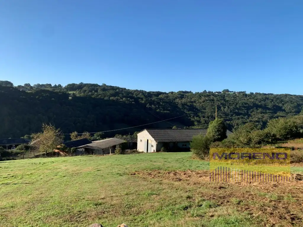 Country homes for sale in Paradela