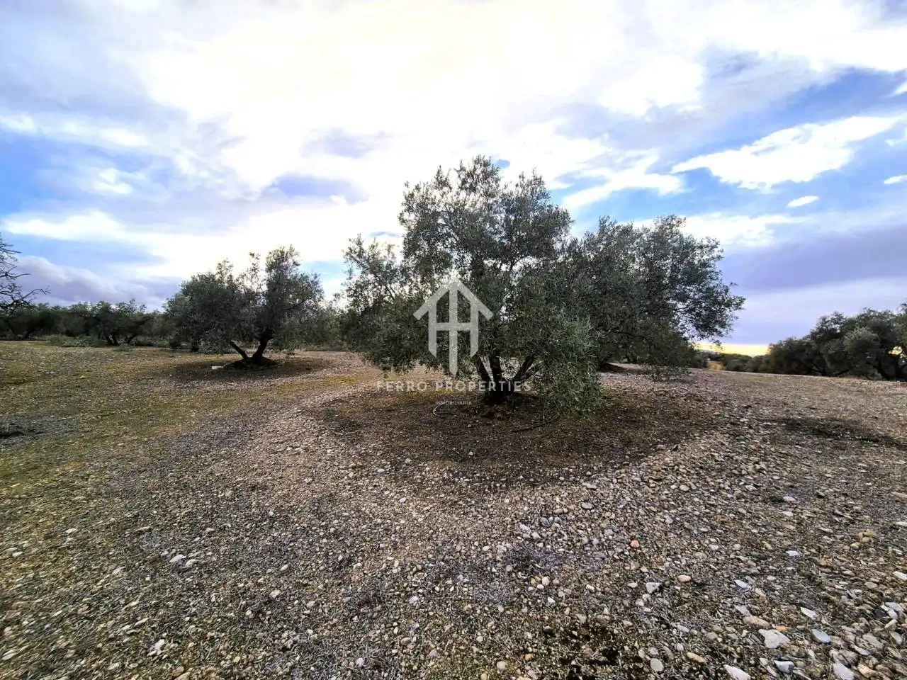 Terreni e lotti in vendita a Huétor Tájar, imagen 2