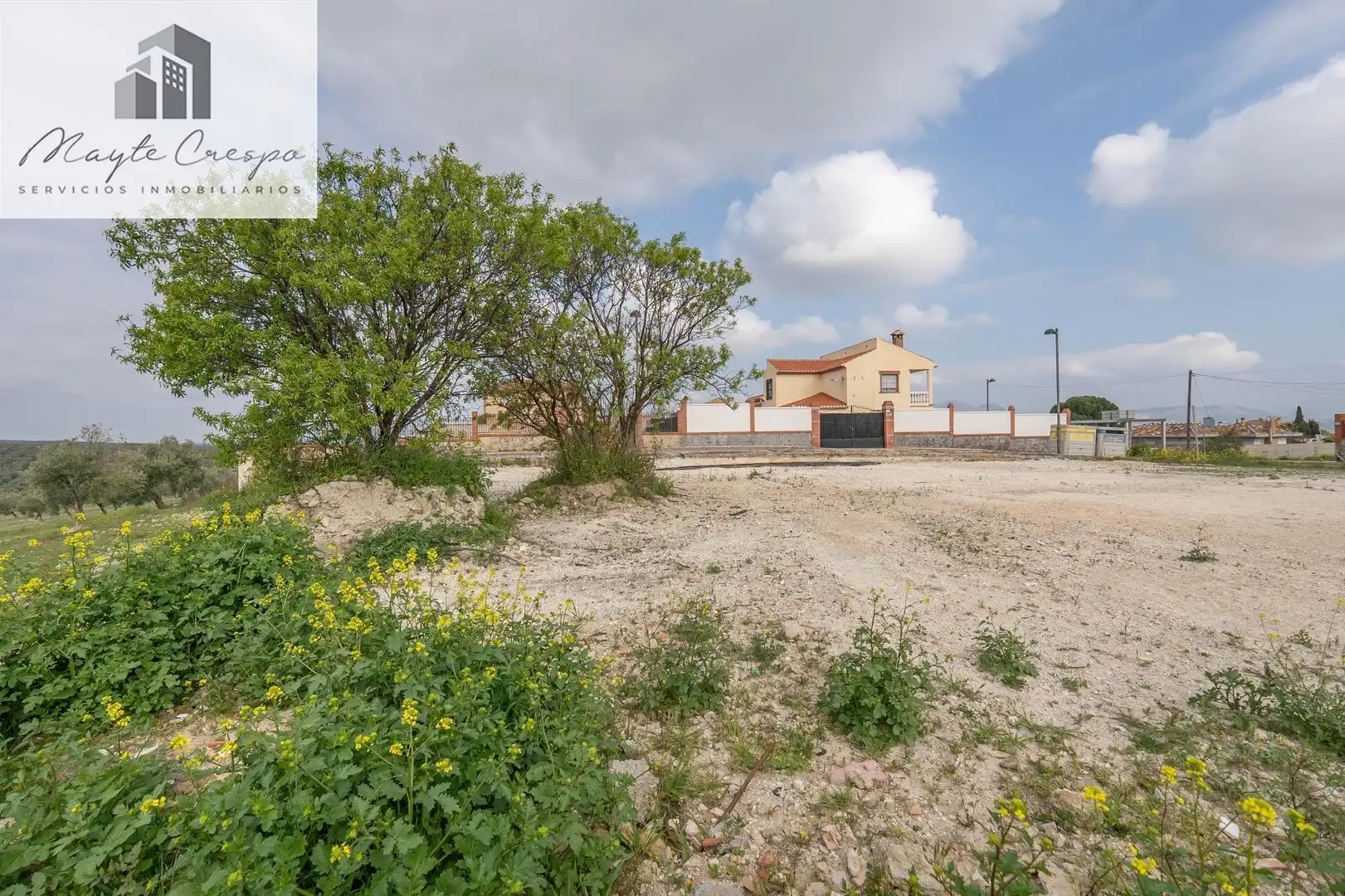 House with pool for sale in Calle del Geranio 29, imagen 43