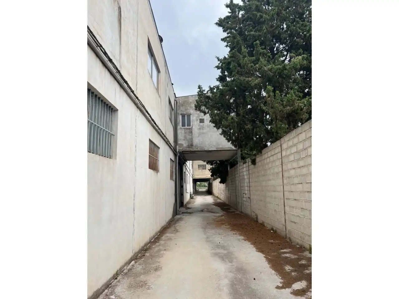 Nau industrial de lloguer a Calle CARRETERA DE RUTE, imagen 17