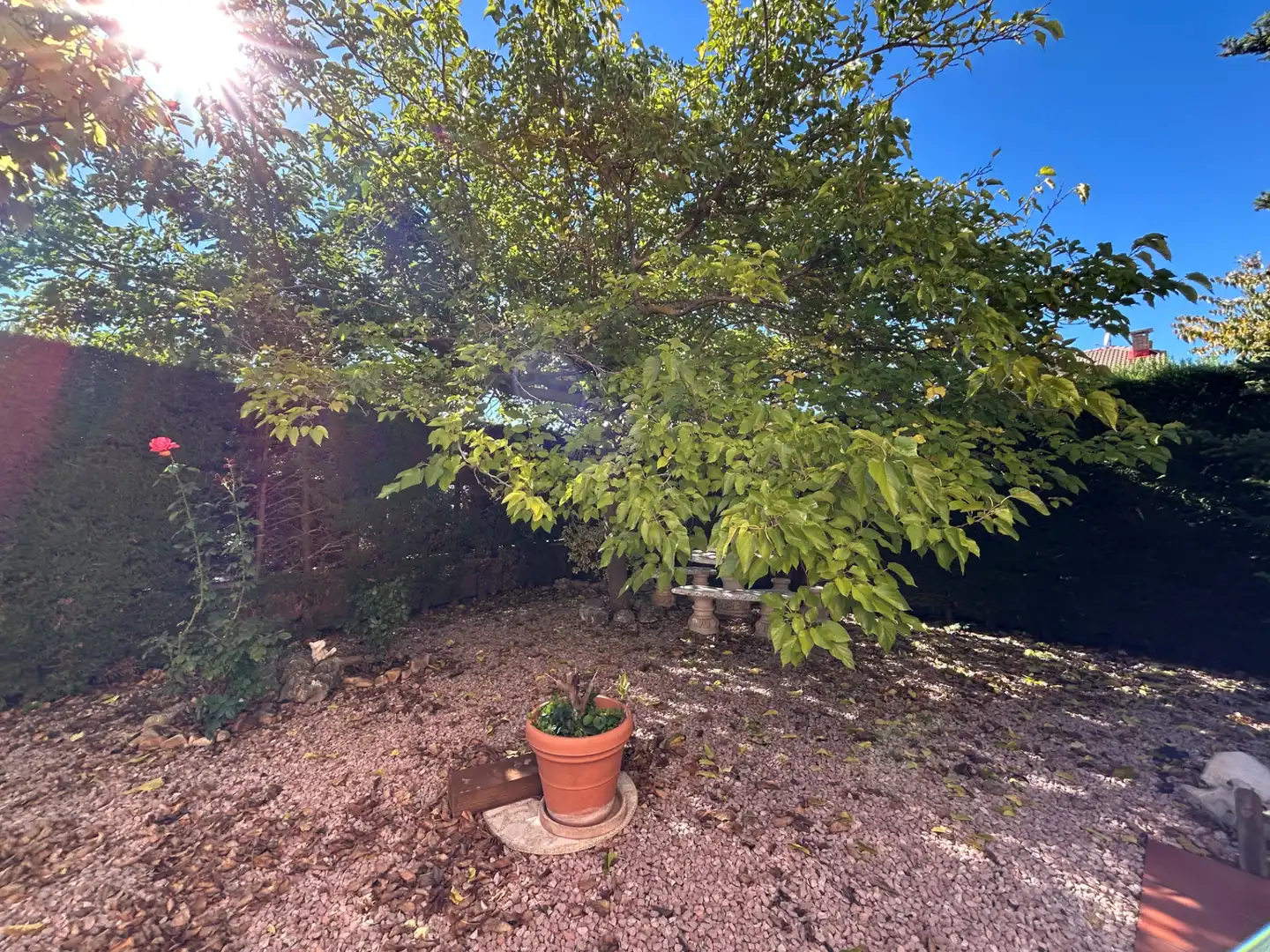 Jardín de Casa o chalet en venta en Urb. Belvalle