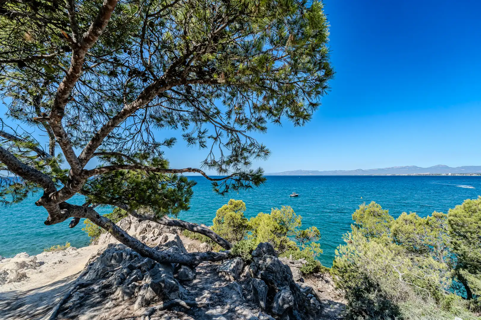 Attique avec terrasse à vendre à Carrer de la Cala de la Font, imagen 42