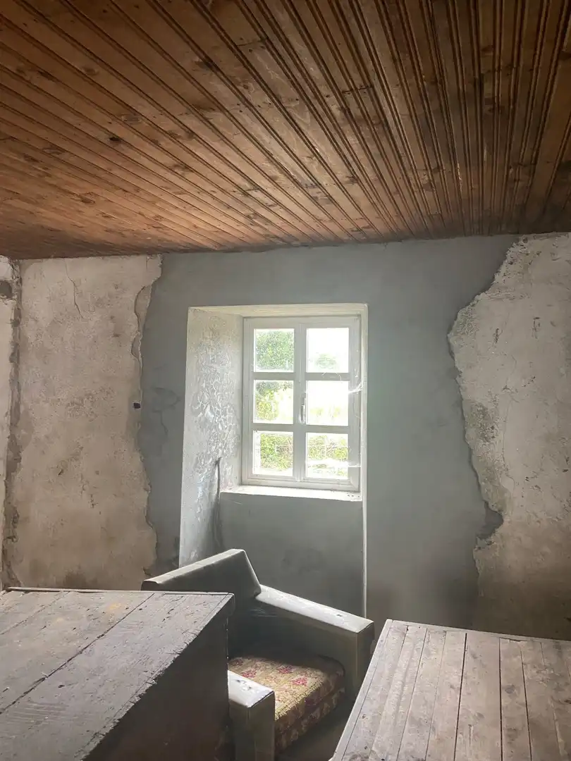 Finca rústica en venta en Rodeiro