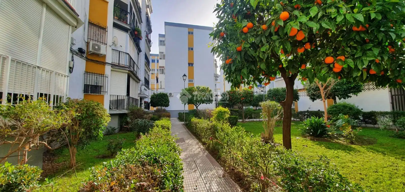 Exterior view of Flat for sale in Sevilla