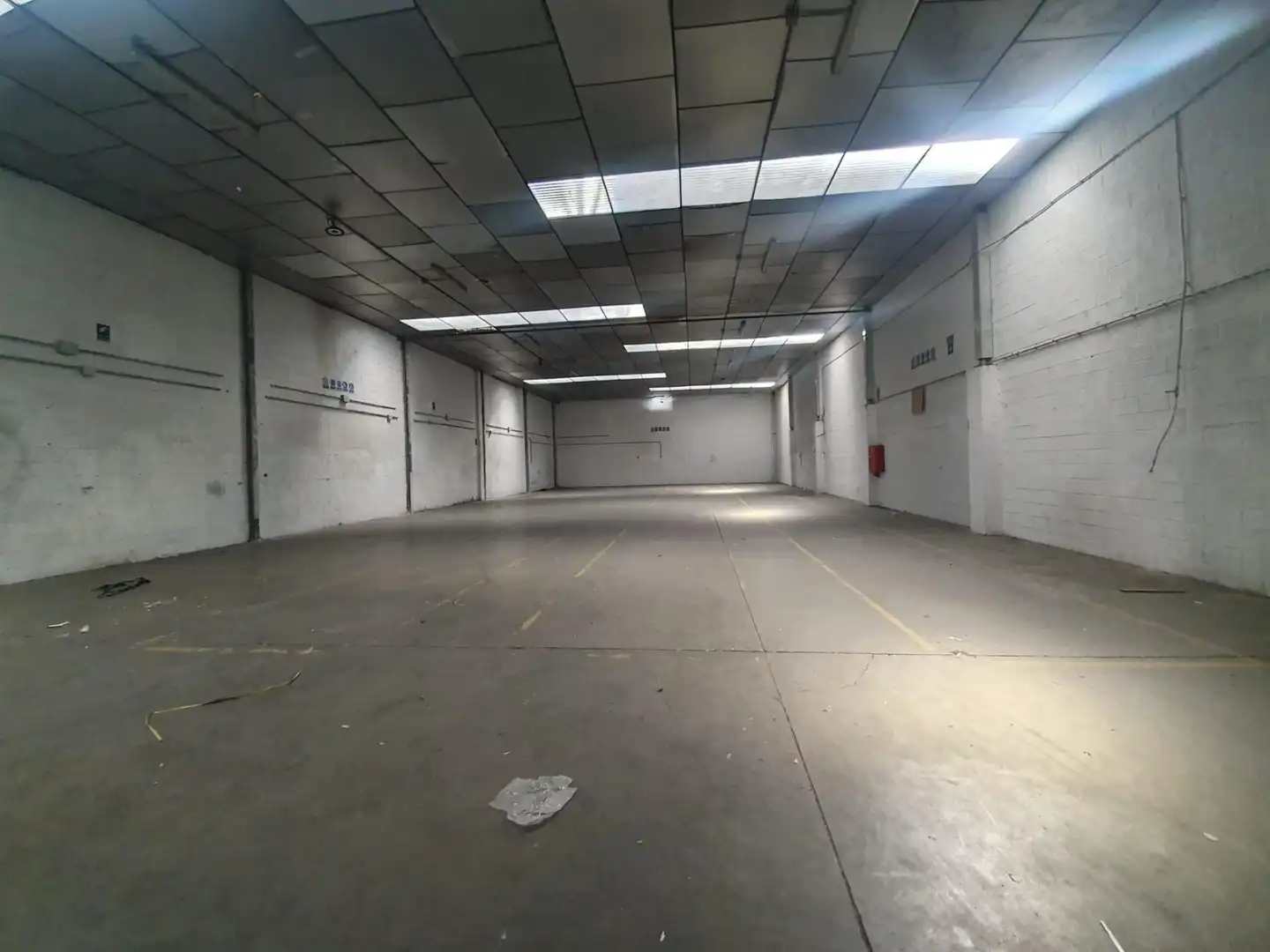Industriegebäude zur Miete in La Motilla - Fuente del Rey, imagen 3