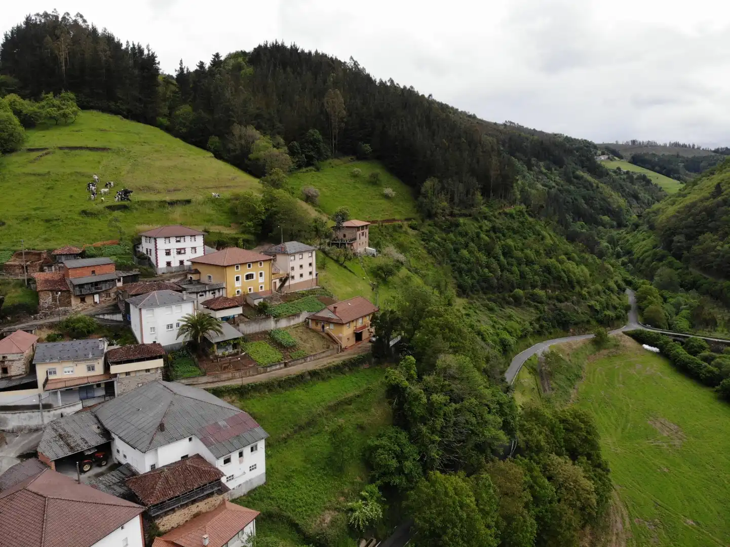 Vista exterior de Casa o xalet en venda en Tineo amb Calefacció, Jardí privat i Terrassa