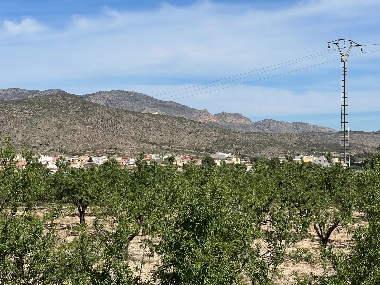 Residential land for sale in Hondón de los Frailes, imagen 10