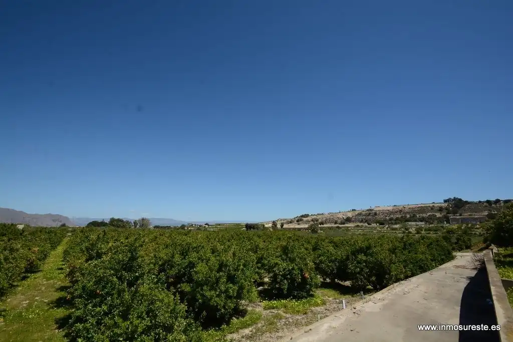 Terrenos y solares en venta en Jacarilla, imagen 2