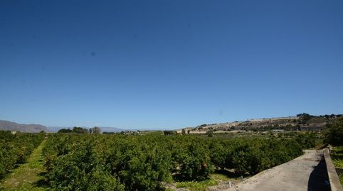 Foto 2 de Residencial en venta en Jacarilla, Alicante