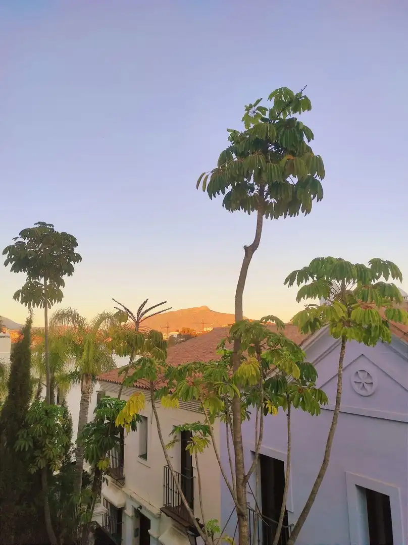 Detached homes for rent in Calle del Rubí, 19, Nueva Atalaya