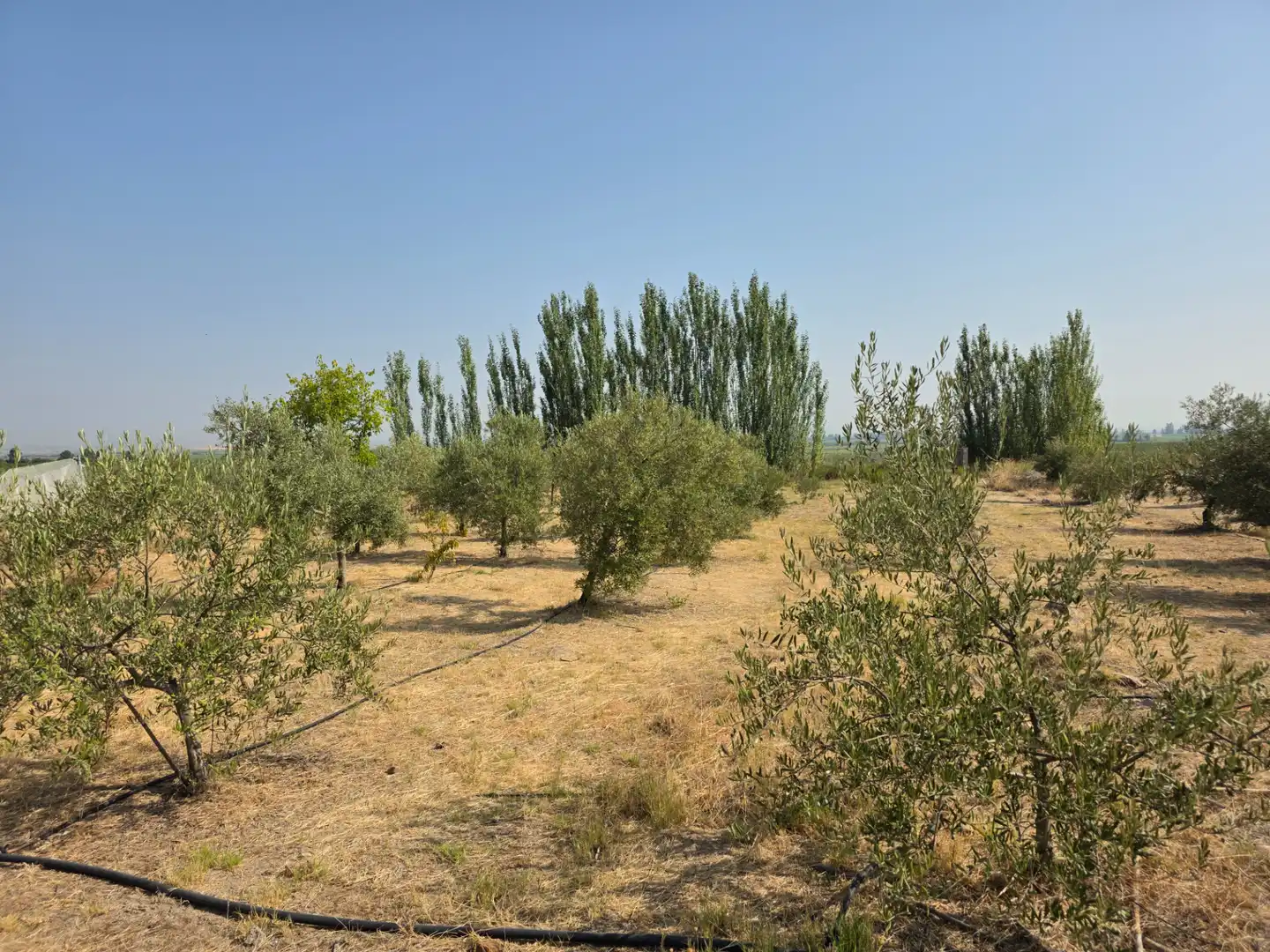 Chalet con jardín en venta en Villanueva de la Serena, imagen 21