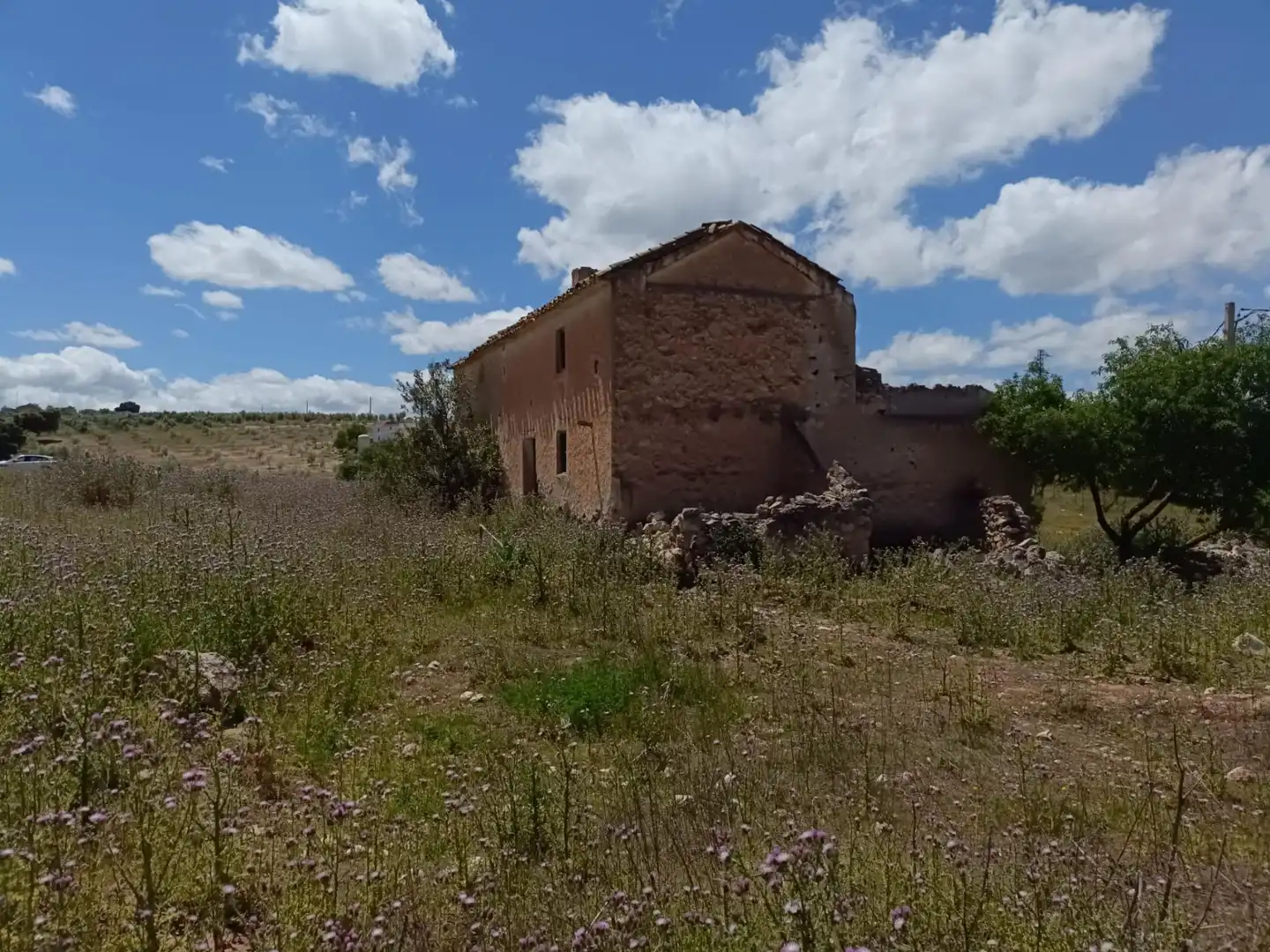 Finca rústica en venta en Salar