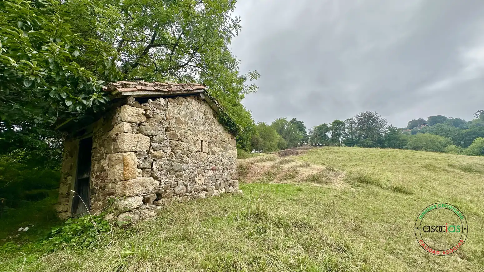 Terreno rustico in vendita a Cabranes - TORAZO, imagen 8