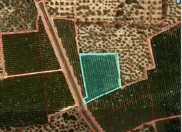 Terreny rústic en venda a Santa Bàrbara, imagen 15