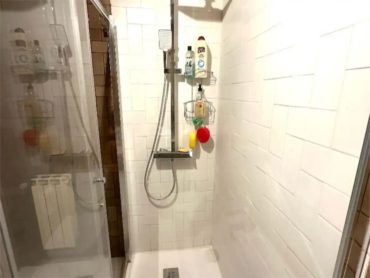 Baño de Piso en venta en Riaño con Trastero y Amueblado