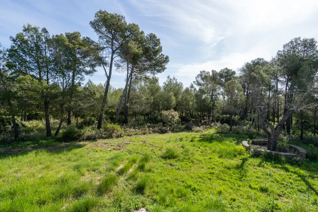 Maison rustique avec jardin à vendre à CV-590 41, imagen 39