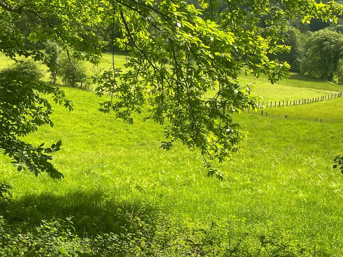 Land for sale in Beintza-Labaien