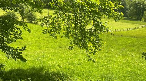 Foto 4 de Terreno en venta en Udaletxeko Karrika, Beintza-Labaien, Navarra