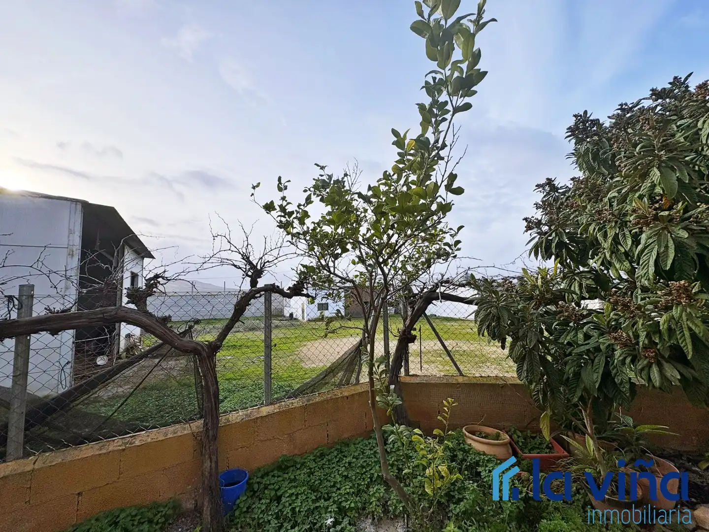 Jardín de Casa o chalet en venta en Los Corrales con Aire acondicionado y Amueblado