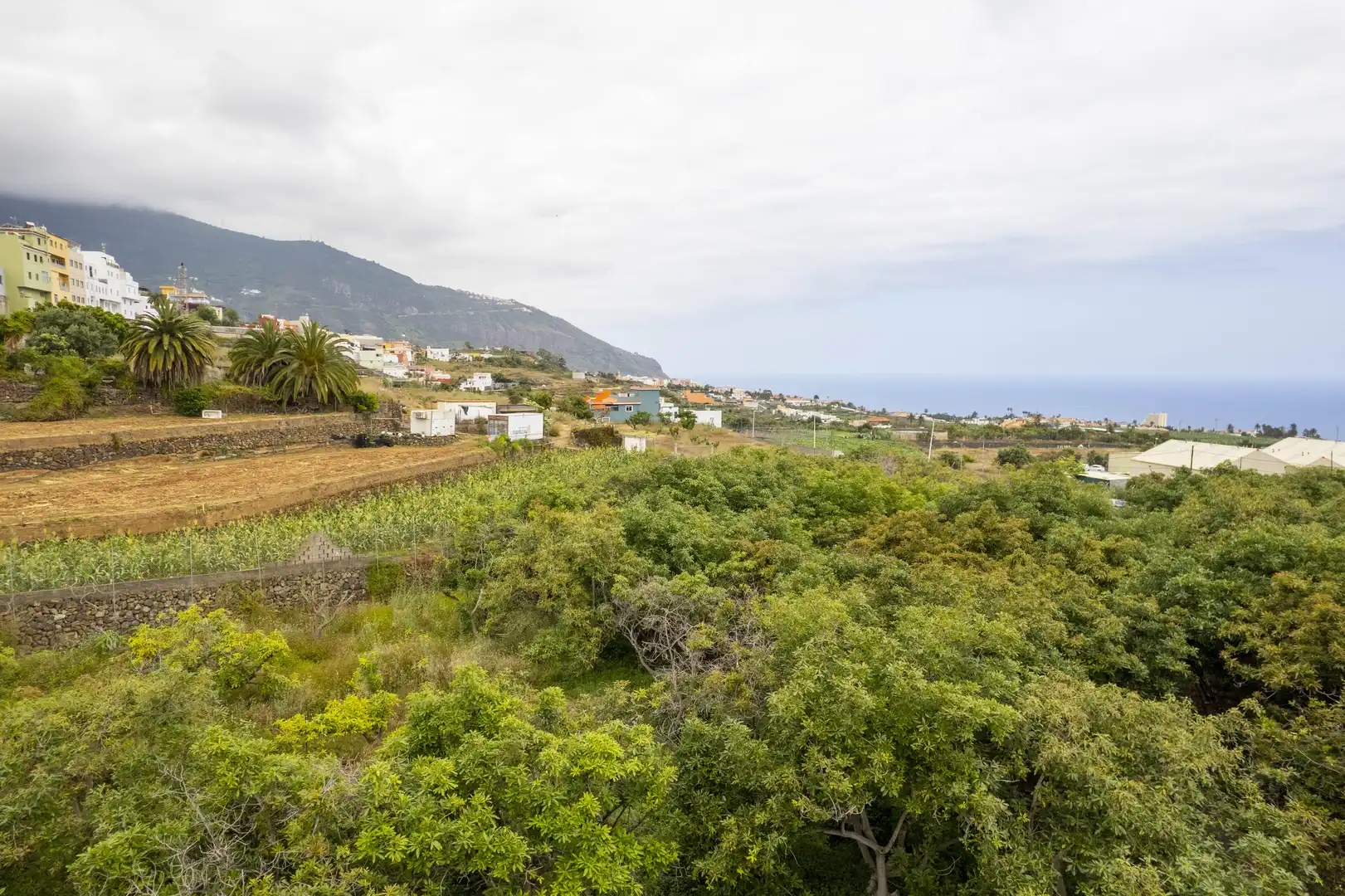 Exterior view of Houses for sale in Los Realejos  with Terrace and Furnished