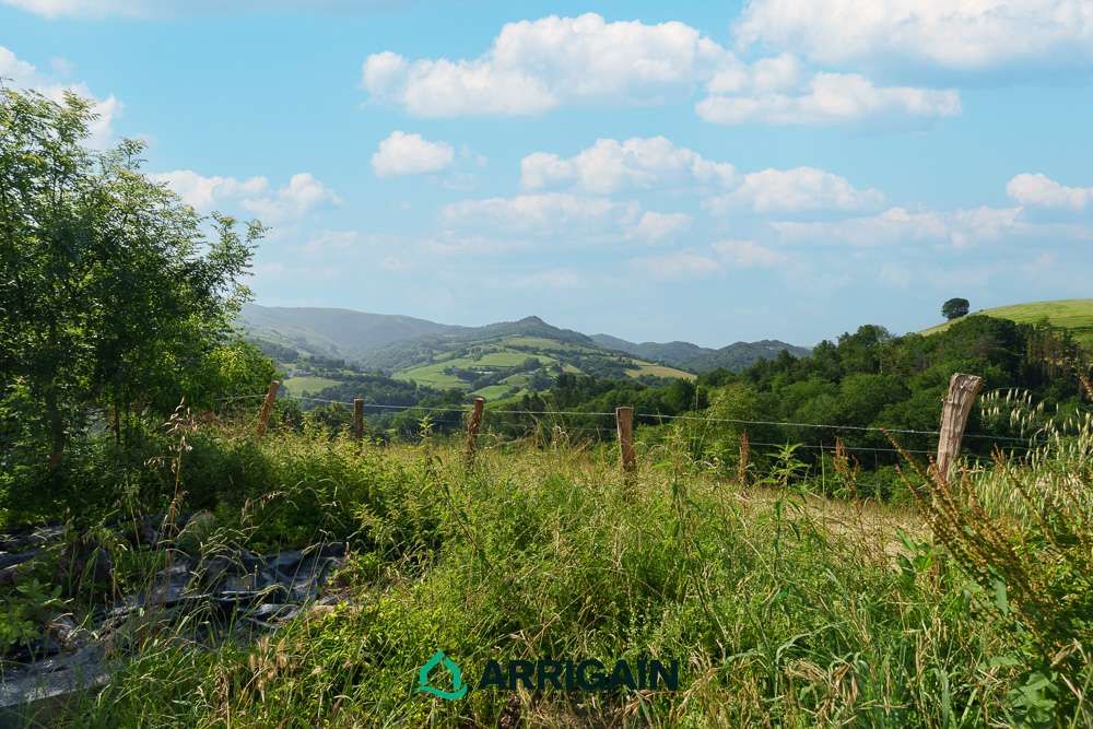 Finca rústica en venta en Olaskoegia Auzoa Auzoa, Aia