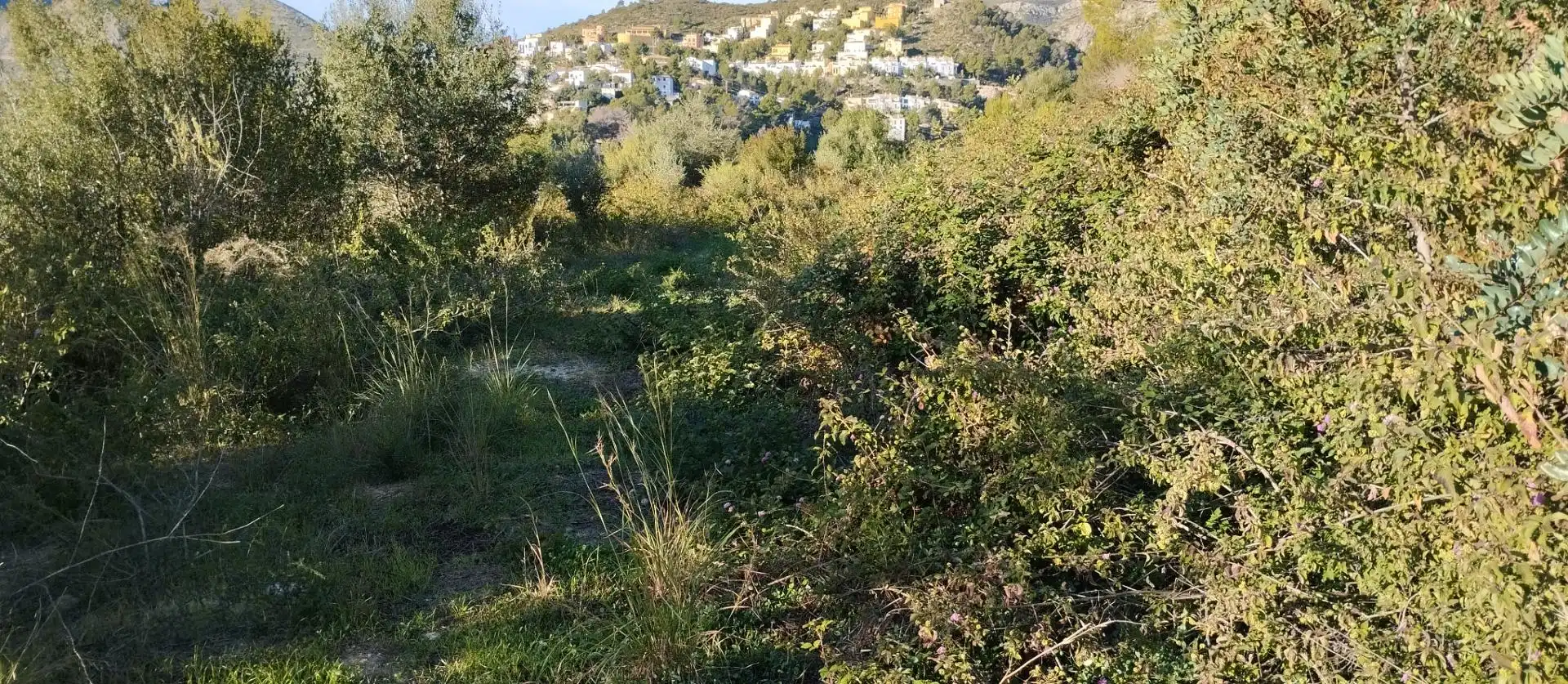 Terreny rústic en venda a L'Atzúbia, imagen 8