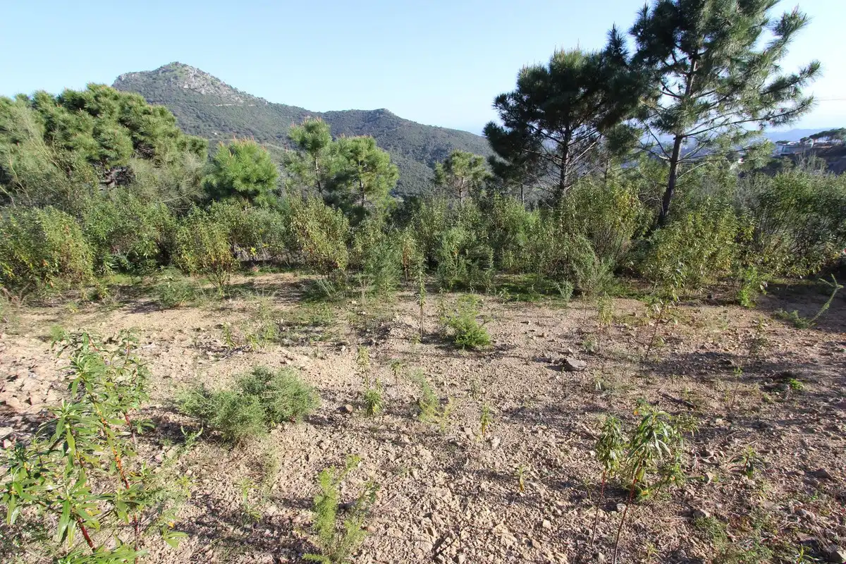 Terrenys i solars en venda a Montemayor - Marbella Club, imagen 20